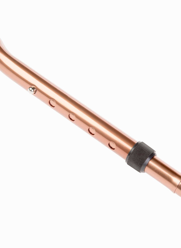 Swan Cane