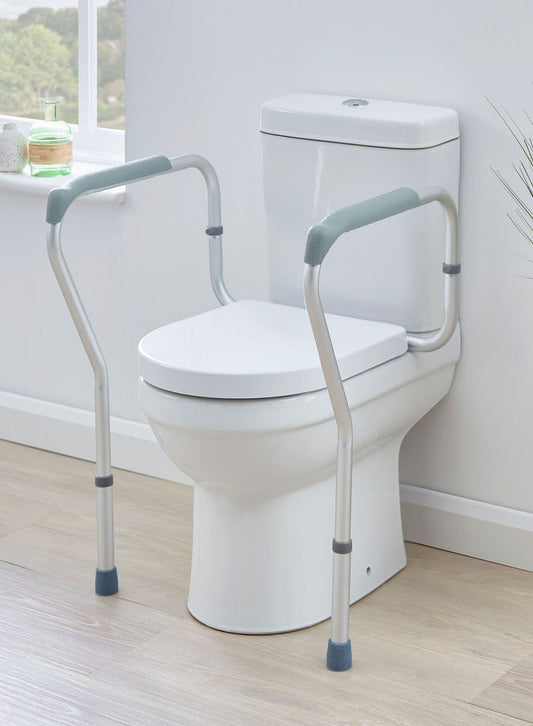 Toilet Surround