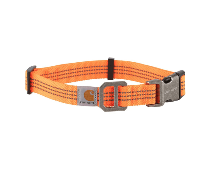 Carhartt Tradesman dog collar in orange with metal hardware