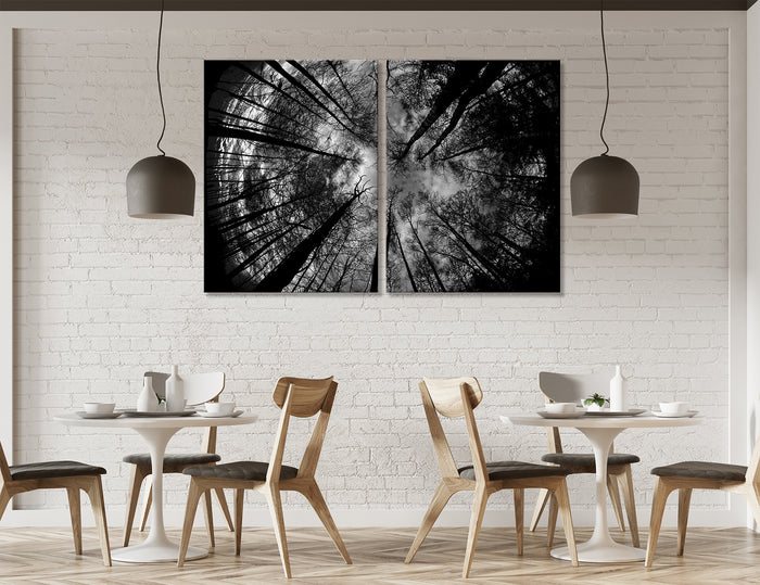 Trees Canvas Print #7001