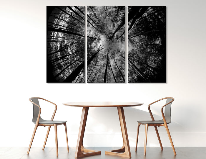 Trees Canvas Print #7001
