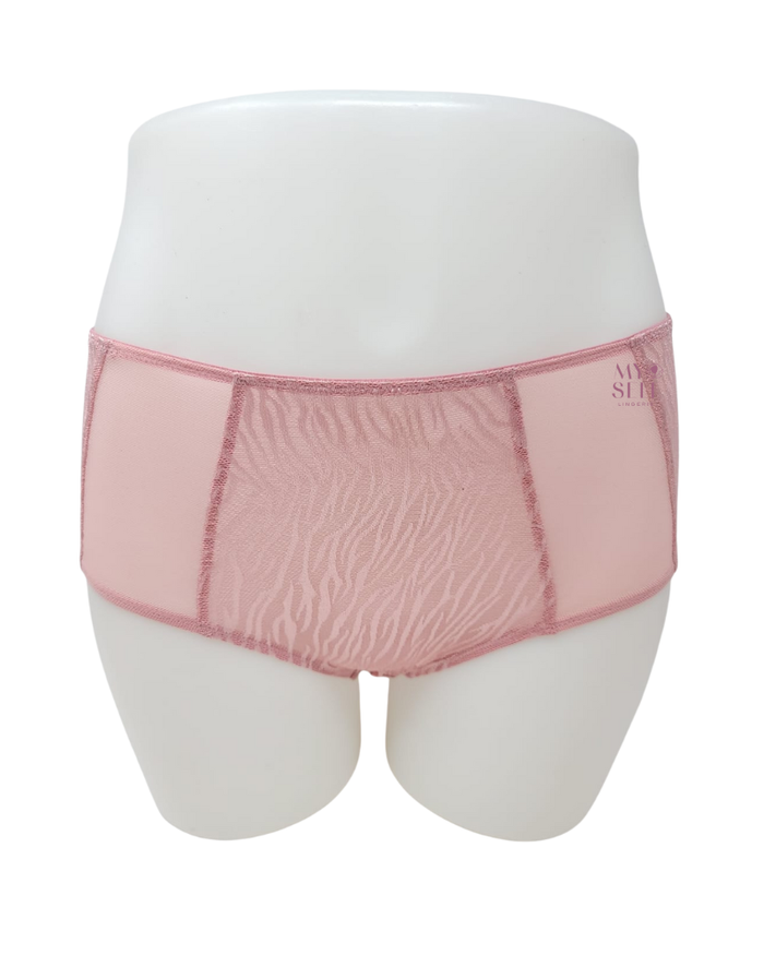 You 100-210 Blush Tuval Mesh & Lace Brief myselflingerie.com