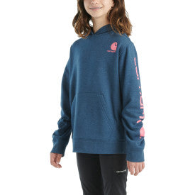 Carhartt youth long sleeve graphic sweatshirt in dark denim