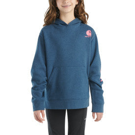 Carhartt youth graphic sweatshirt in dark denim, additional product image